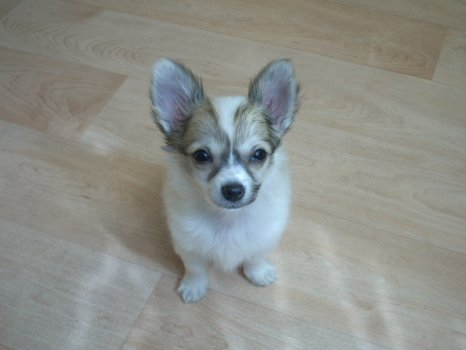 Max__Jerry_011.jpg
